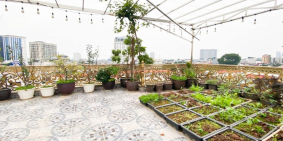 Bán đất phố Nguyễn Phúc Lai 75m2 MT 6.5m GÓC, ngõ ô tô tránh, tiện ích phân lô