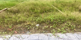 Cần bán lô đất 5x33m giá TT 560tr gần Tân Đức, SHR thổ cư 100%