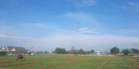 Bán Đất mặt tiền đường nội bộ 5m Mỹ Hạnh Nam