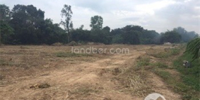 Bán gấp 10ha đất Mương Mán, Hàm Thuận Nam, Bình Thuận (mỏ cát xây dựng)