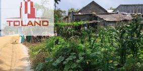 Bán đất thôn Khuông Phò Đông, xã Quảng Phước, huyện Quảng Điền, tỉnh Thừa Thiên