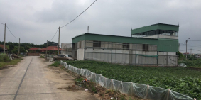 Bán gọn 81m2, Khu Đấu Giá Đình Tổ, Thuận Thành. Đường 13m, giá đầu tư.