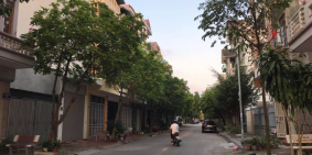 Bán đất mặt phố Đào Duy Từ, Đông Nam Cường, TP HD 216m2, mt 12m, đường 13.5m, gi