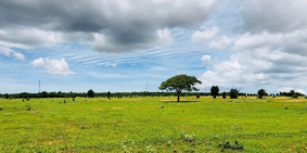 TIỀN nhiều chẳng biết để đâu, đầu tư MUA ĐẤT năm sau SINH LỜI !