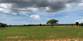 Cần bán lô đất vườn Hòa Thắng, gần DT716, sổ có đường, mặt tiền dài