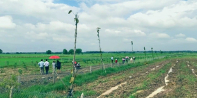 là nhà đầu tư thông thái nên đầu tư đất củ chi ngay từ bây giờ giá 2 triệu/m2