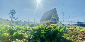 đất để đầu tư ở khu vực củ chi, dành rêng cho các nhà đầu tư F0 ngay từ bây giờ.