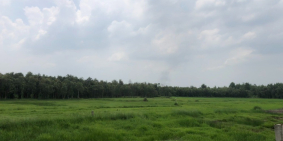 người nhà gặp nạn cần bán gấp 500m2 đất ở củ chi giá 1.8 triệu/m2