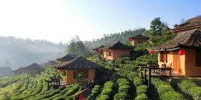 Bán rẻ lô đất 6h.a giá 115k/1m Mường Sang - Mộc Châu VIEW đồi cực đẹp !!