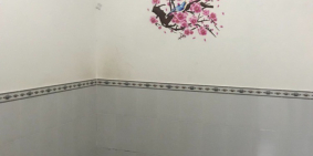 cho thuê nhà góc 2 mặt tiền hẻm ngay sau lưng đại học công Nghệ Đồng Nai Nguyễn