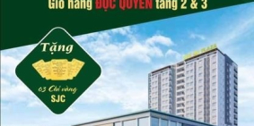 Sở hữu ngay Căn hộ cao cấp Tây Đô Plaza chỉ từ 350 triệu