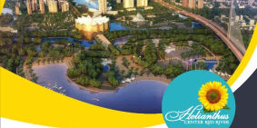 Bán shophouse 5 tầng tại KĐT kiểu mẫu Vimefulland Đông Anh Hà Nội