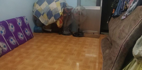 Gấp Bán Nhà Vạn Kiếp, Bình Thạnh 30M2 2 Lầu Chỉ 3,1 Tỷ