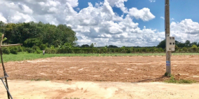 Đất cổng sau KCN Hiệp Thạnh, Gò Dầu, Tây Ninh.Giá ngộp chỉ 310TR hết đất.