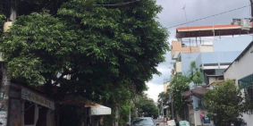 Bán nhà nguyễn đình chính phường 11 quận phú nhuận dt99m2 giá bán 11 tỷ