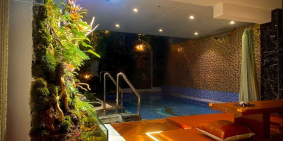 Mặt Tiền Có Hồ Bơi Khu Đệ Nhất P4 Tân Bình 6 Tầng Giá chỉ 29 Tỷ