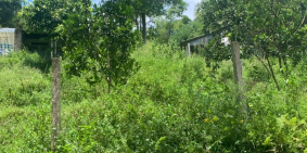 Bán mảnh đât 1244m full thổ cư , đông băc kim bôi