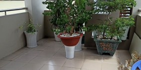 Bán nhà đẹp HXH 3 lầu trung tâm quận 10 Lê Hồng Phong 190m2 giá 12 tỷ