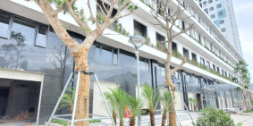 Bàn giao nhà và tăng giá Ecolife Riverside tháng 7/2021