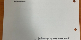 BÁN NHÀ ĐẤT TẠI THÔN TÂN THUẬN, XÃ PHƯỚC THUẬN, HUYỆN TUY PHƯỚC, TỈNH BÌNH ĐỊNH