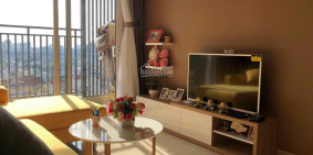 Cho thuê căn hộ 1PN-2PN -3PN tại chung cư Sunrise city Quận 7