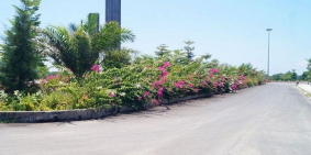 Bán đất nền Cam Ranh Golden Bay 602 chỉ từ 16 triệu/m2,MT đường Nguyễn Tất Thành