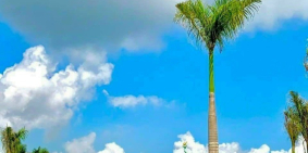 Đất cạnh Tái Định Cư sân bay Long Thành, TT 350 triệu có ngay nền.