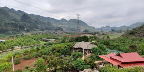 Bán lô đất giá cực rẻ tại đồi hongkong 1500m2 tại Đông Sang - Mộc Châu giá