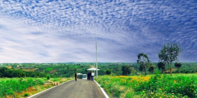 Đất nền nghĩ dưỡng mùa dịch 150m TC full nằm cạnh đồi chè thơ mộng