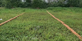 Bán đất thổ cư Long An sổ hồng riêng