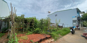 Bán đất Lữ Gia Phường 9 Đà Lạt, Sổ hồng riêng biệt, Giá mùa dịch 1ty85