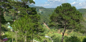 Bán lô đất đường 3 tháng 4 view rừng thông nguyên sinh thành phố Đà Lạt