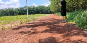 Bán 1000m Đất CLN Dầu Tiếng Bình Dương Đường Đẹp