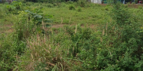 BÁN lô cặp Đức Hòa ĐỐI DIỆN CÔNG VIÊN giá TỐT 1 tỷ 3 lô Hỗ trợ vay ngân hàng 70%