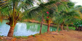 kẹt tiền bán gấp đất có nhà và ao cá vườn trái cây thoáng mát