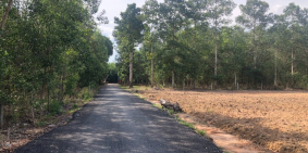 Cần bán 32m ngang đường nhựa Tân Hiệp, Long Thành có thổ giá 10 tỷ.