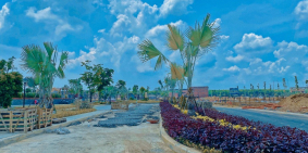 Bán đất nền cách sân bay Long Thành 1,5km. Giá từ 18tr/m2