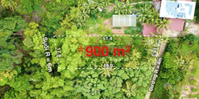 Cần bán mảnh đất phố Tây Cửa Lấp Trần Hưng Đạo xây resort có suối sau đất