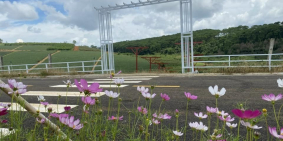 Bán đất mùa dịch 150m2 /sổ sẵn - full thổ cư | lộc tân - bảo lộc