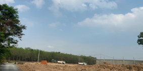 Chính Chủ Bán Lỗ 350m2 Đất Phú Chánh, Ngay Tp Mới Giá Chỉ 1 tỷ 390 triệu/ Sổ Sẵn