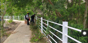 Lô đất nền kcn dầu giây mặt tiền đường đối diện kcn cẩm mỹ