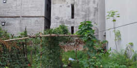 Bán đất Hồ Tùng Mậu, Cầu Diễn, vị trí đẹp, ngõ Ôtô 55m2 x 4m giá 4.25 tỷ.