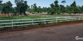 Bán đất sào chính chủ,có sổ sẵn dt 1100m2 giá 1tyxx thương lượng