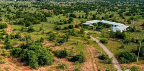 Đất nông nghiệp Bình Thuận giá rẻ cho quý nhà đầu tư