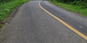 Sang gấp lô đất trồng cây 1000m2/490tr cách Trung tâm 3p. Sổ riêng