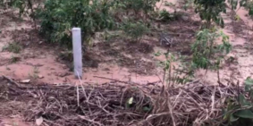 Đất Dầu tiếng hàng ngộp covid giá rẽ sập sàn