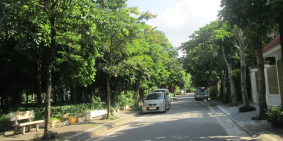 CC bán biệt thự TT5, TT6 Tây Nam hồ Linh Đàm view công viên 210m2 chỉ 22.22 tỷ.