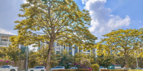 Bán Căn Shophouse 120m2, mặt đường 56m, DA Centacity Vsip Từ Sơn, Giá 12 tỷ