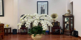 MP Tôn Đức Thắng sầm uất gần phố Nguyễn Thái Học, MT rộng 128m2 chỉ 36.8 tỷ.