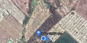 BÁN ĐẤT MẶT TIỀN THỊ TRẤN TÂN NGHĨA 7000M2 – 1 TỶ 6 – HÀM TÂN – BÌNH THUẬN